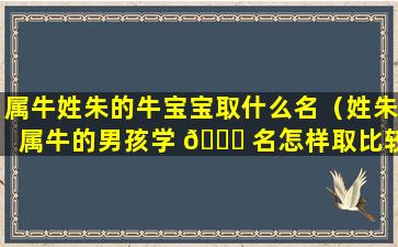 属牛姓朱的牛宝宝取什么名（姓朱属牛的男孩学 🍁 名怎样取比较好 🐒 ）